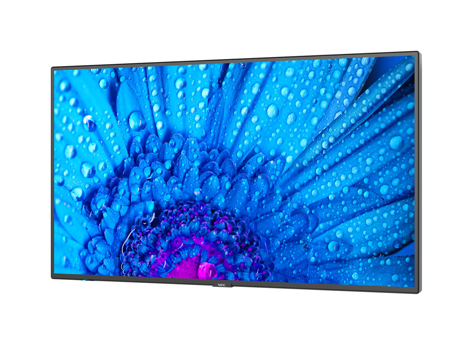 NEC MultiSync M431 – 43", 3840 × 2160 (4K), IPS, LAN