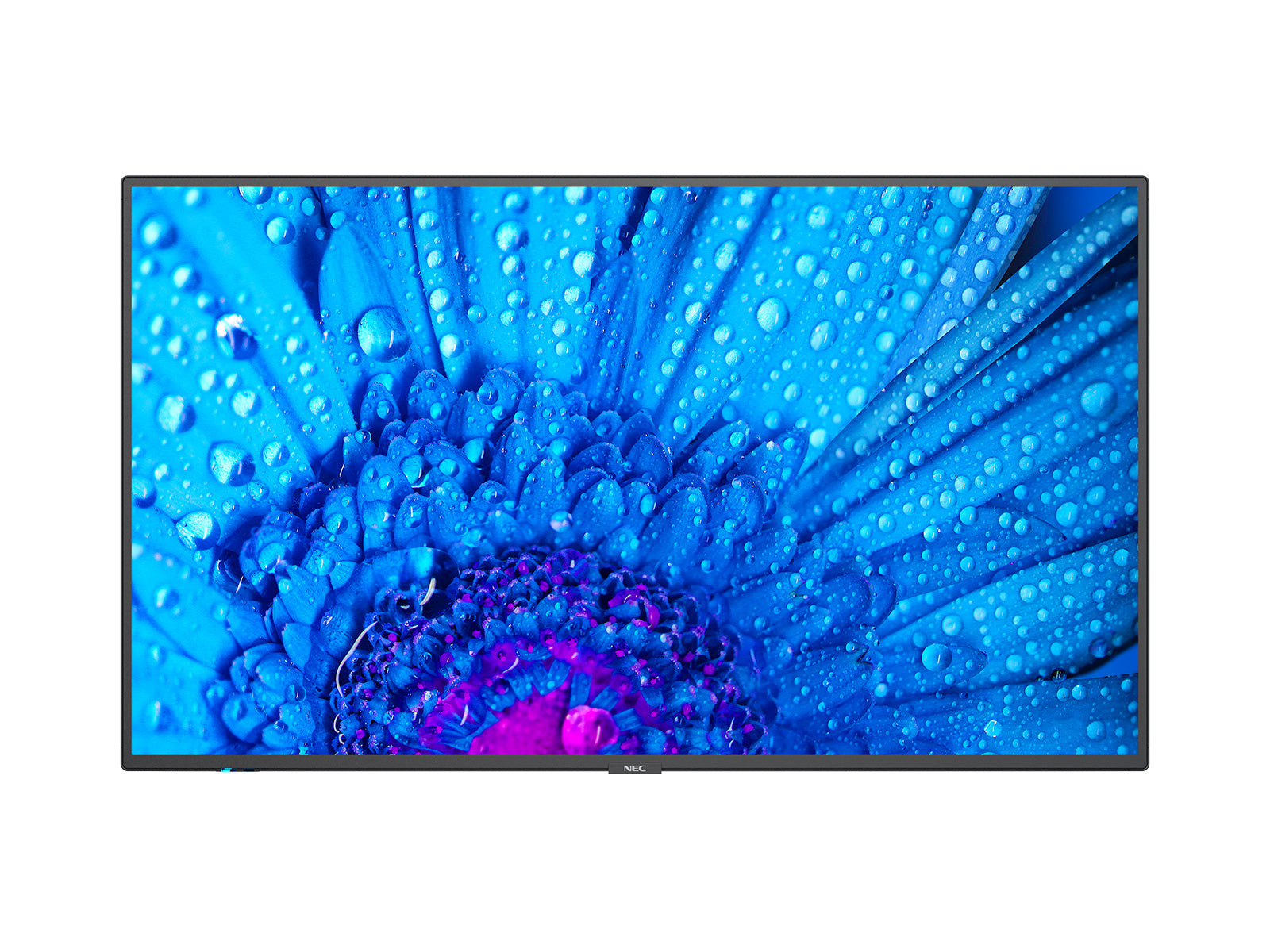 NEC MultiSync M431 – 43", 3840 × 2160 (4K), IPS, LAN
