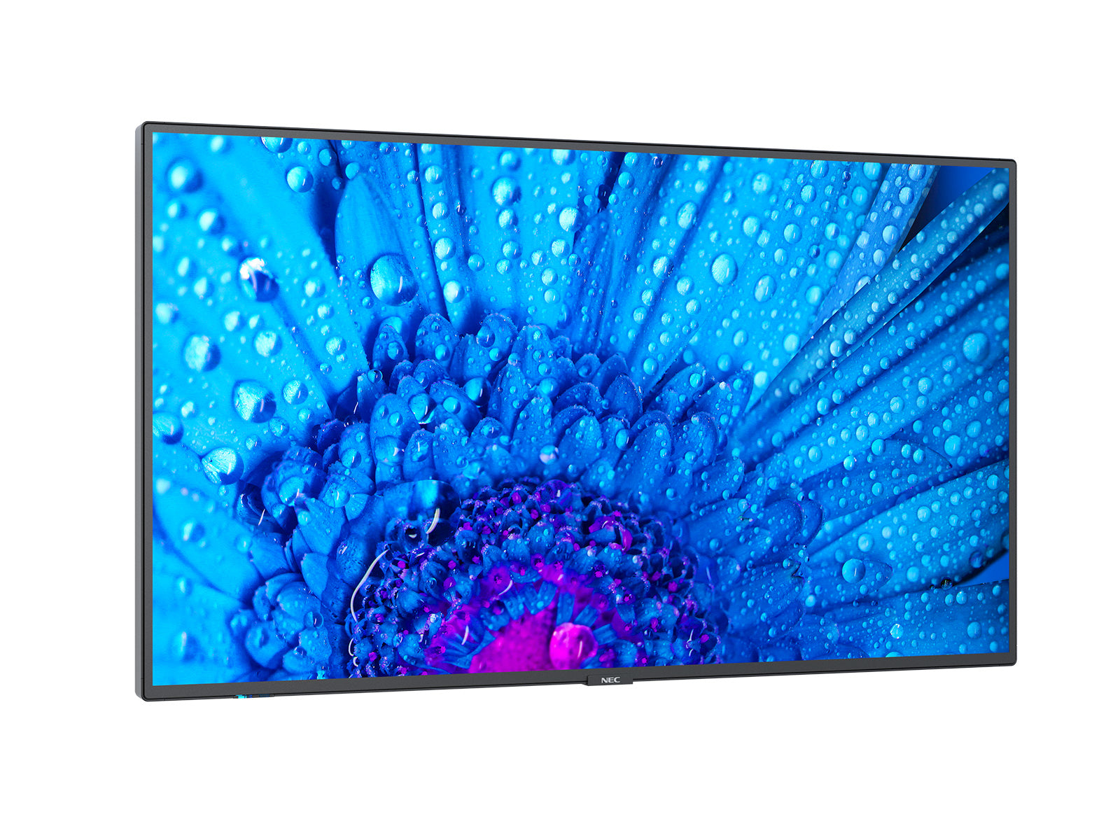 NEC MultiSync M431 – 43", 3840 × 2160 (4K), IPS, LAN