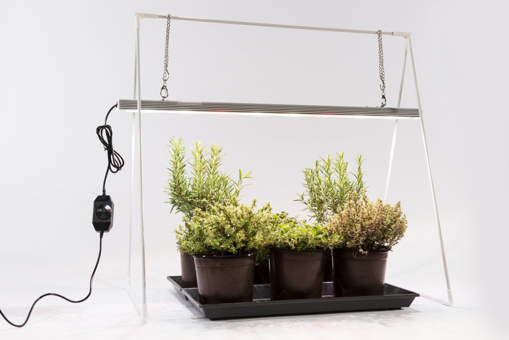 Venso EcoSolutions Pendelleuchte GrowLight Duo – 60 × 30 × 54 cm, 22 W, Neutralweiss, dimmbar, IP54, Silber