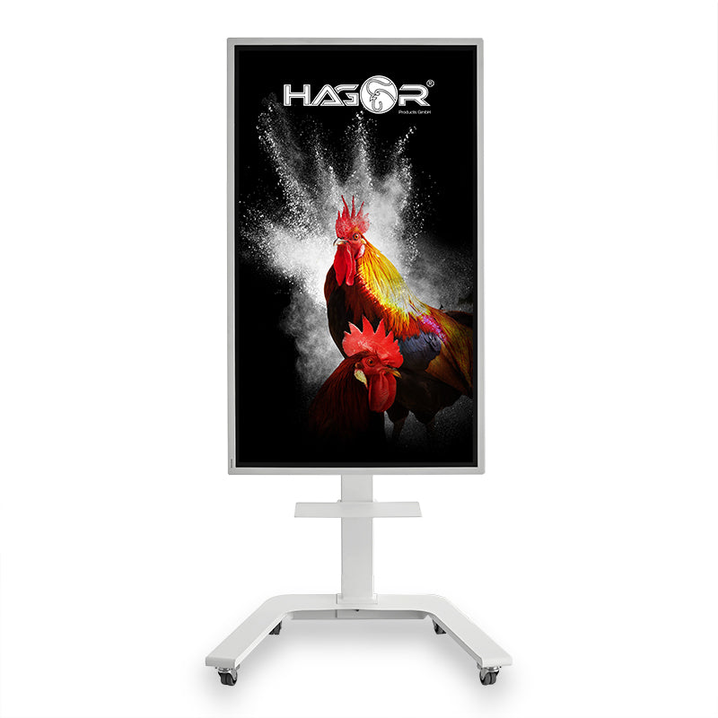Hagor TV-Wagen – 65" – VESA 200×200–400×400 – bis 45 kg, mit Rollen, drehbar, für Samsung WM65R