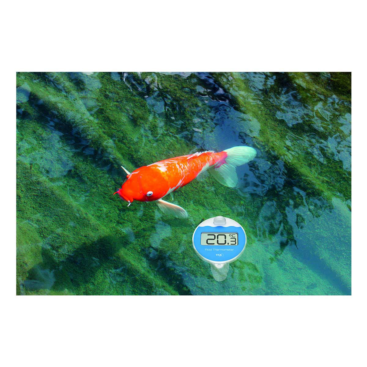 TFA-Dostmann TFA Dostmann MARBELLA – Funk-Poolthermometer, Reichweite 100 m – Schwarz