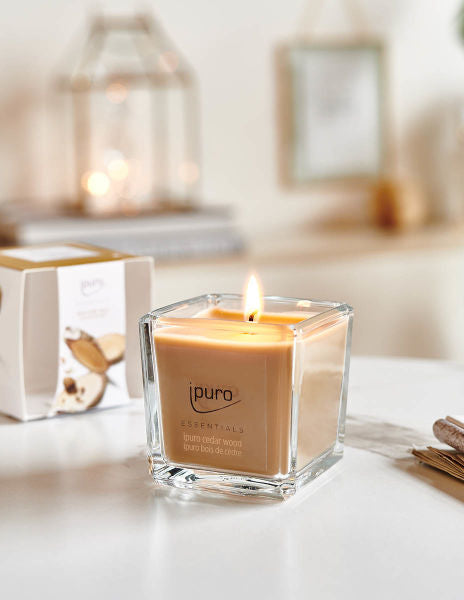 ipuro Essentials Zedernholz – Duftkerze, 25 h
