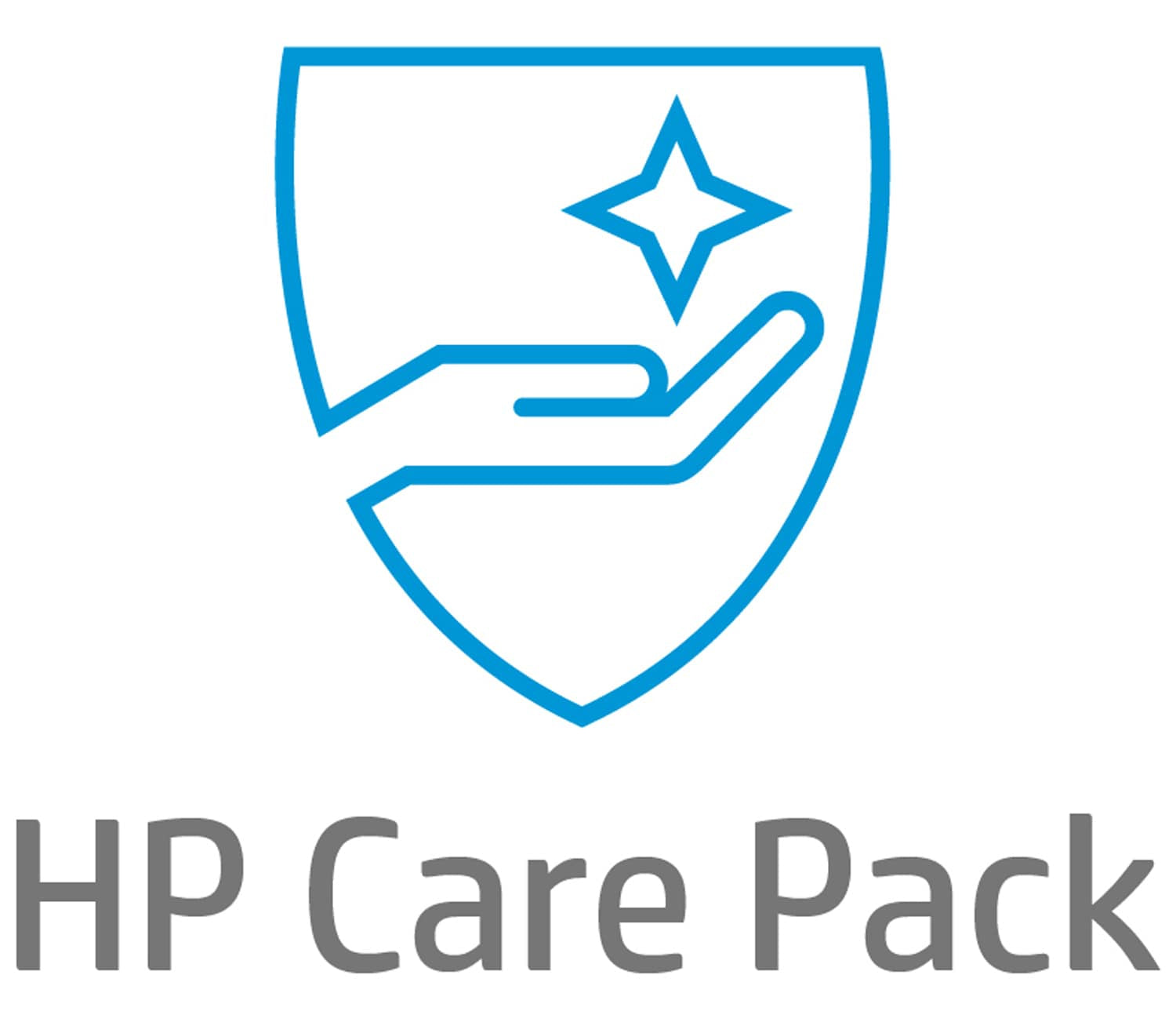 HP eCare Pac3Yr Onsite NBD – Vor-Ort/NBD, 3 Jahre