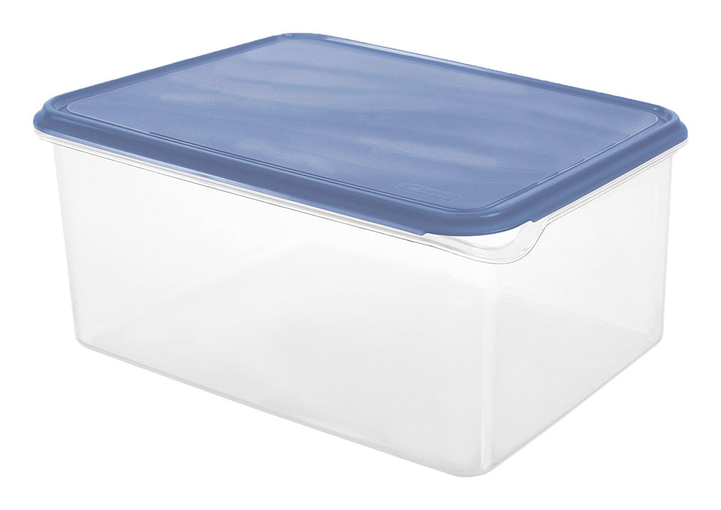 Rotho Kühlschrankdose RONDO – 8 l, 24,0 × 31,5 × 14,5 cm, Kunststoff, mit Deckel, auslaufsicher