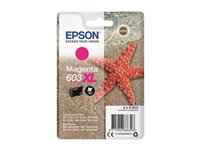 Epson Tintenpatrone C13T03A34010, Magenta, 350 Seiten – für Tintenstrahldrucker und Multifunktionsgeräte