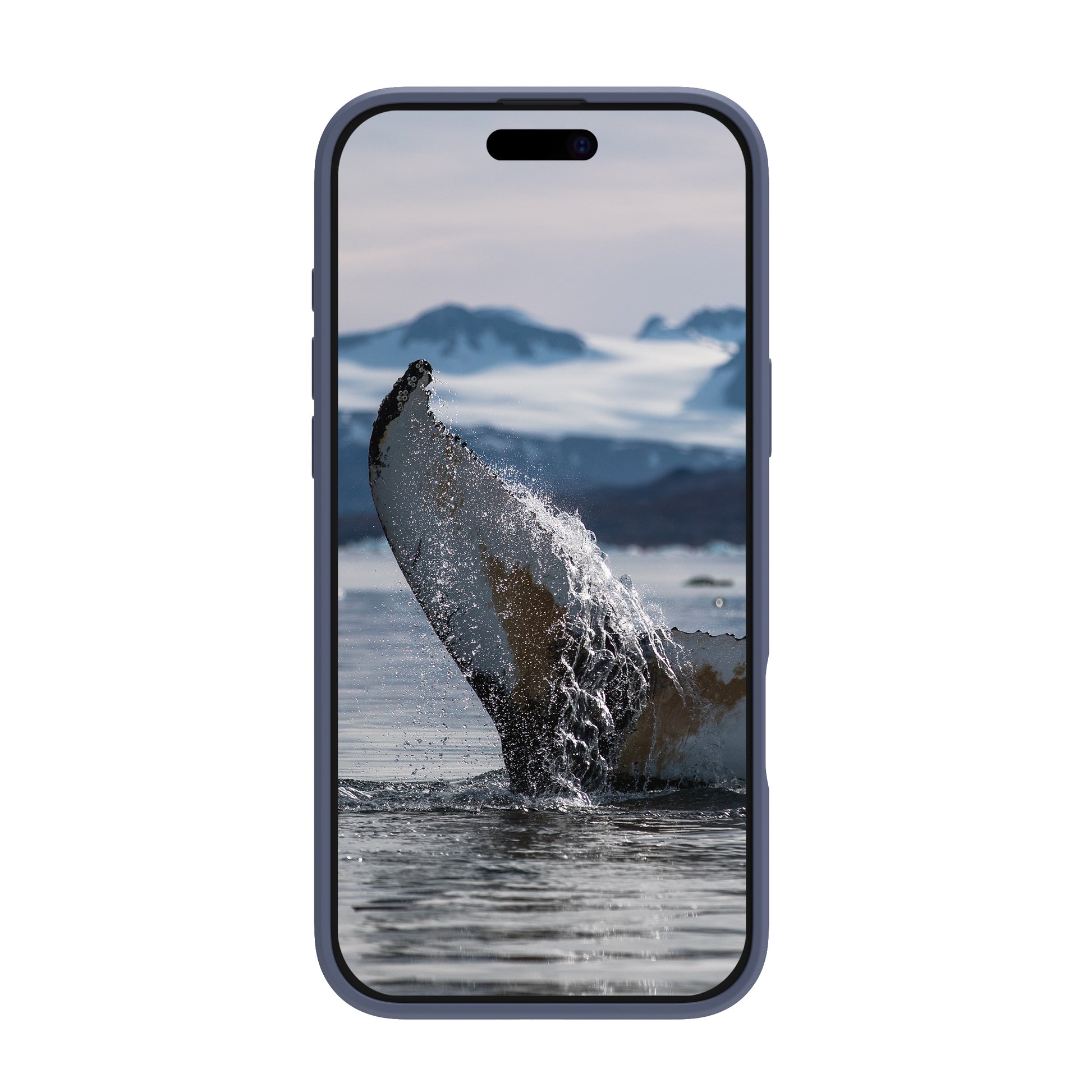 dbramante1928 Greenland Pro MS Backcover – für Apple iPhone 16 Pro, Kunststoff, Pacific Blue