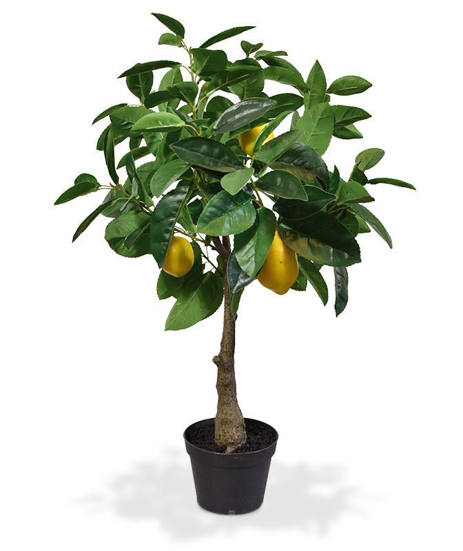 Botanic-Haus Künstlicher Zitronenbaum – Ø 35 × 70 cm – Kunststoff & Polyester, Grün