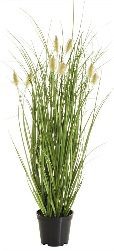 Botanic-Haus Topfpflanze – 46 cm – Polyethylen (PE), Grün