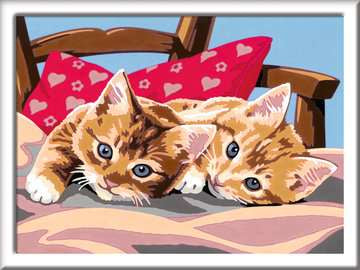 Ravensburger CreArt – Malen-nach-Zahlen-Set – Zwei Kuschelkatzen – 15 Farben (Acrylfarbe) – ab 9 Jahren