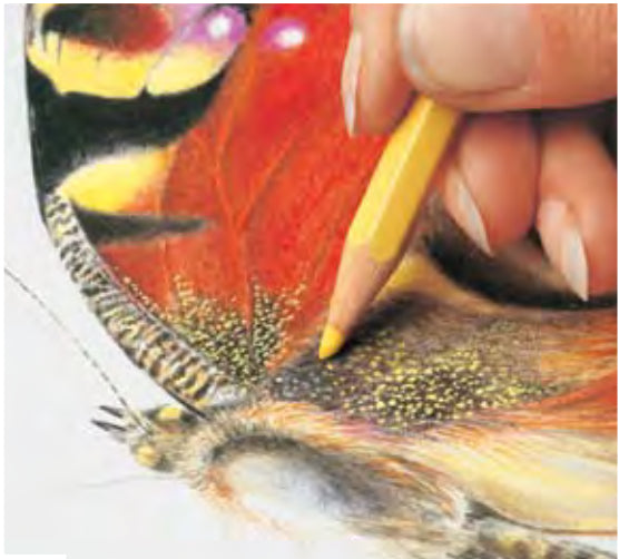 Caran d-Ache Caran d'Ache Prismalo Aquarellfarbstift – Karmin, Ø 3 mm, FSC