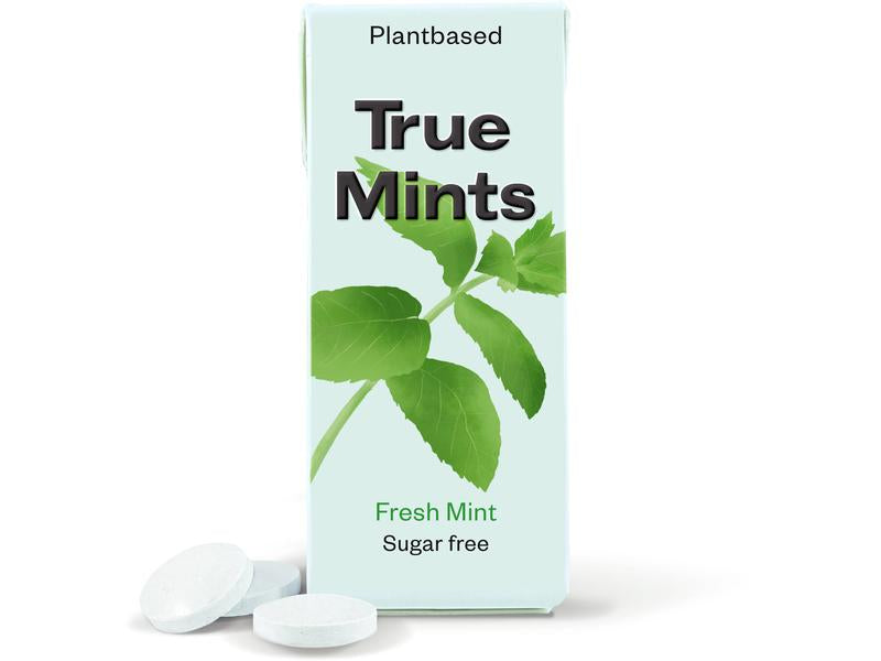 True Gum True Mints Frische Minze, zuckerfrei, vegan – 13 g