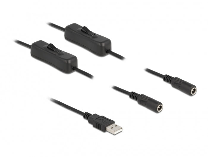 DeLOCK USB-A zu 2× DC 5,5×2,1 mm Stromkabel – 1 m, mit Schalter, Schwarz