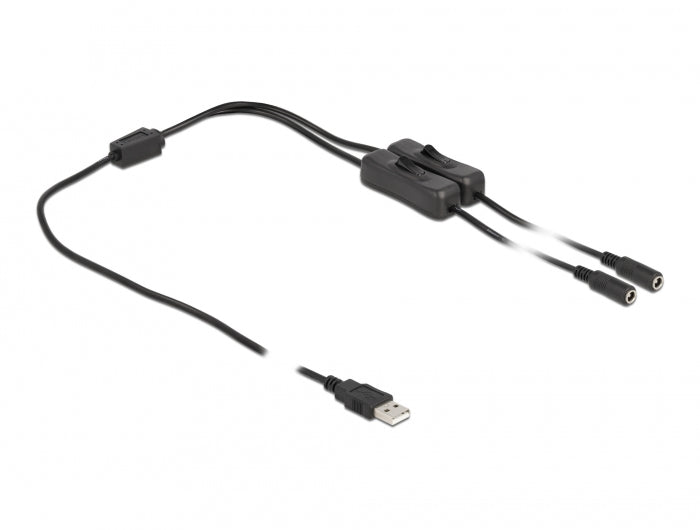 DeLOCK USB-A zu 2× DC 5,5×2,1 mm Stromkabel – 1 m, mit Schalter, Schwarz