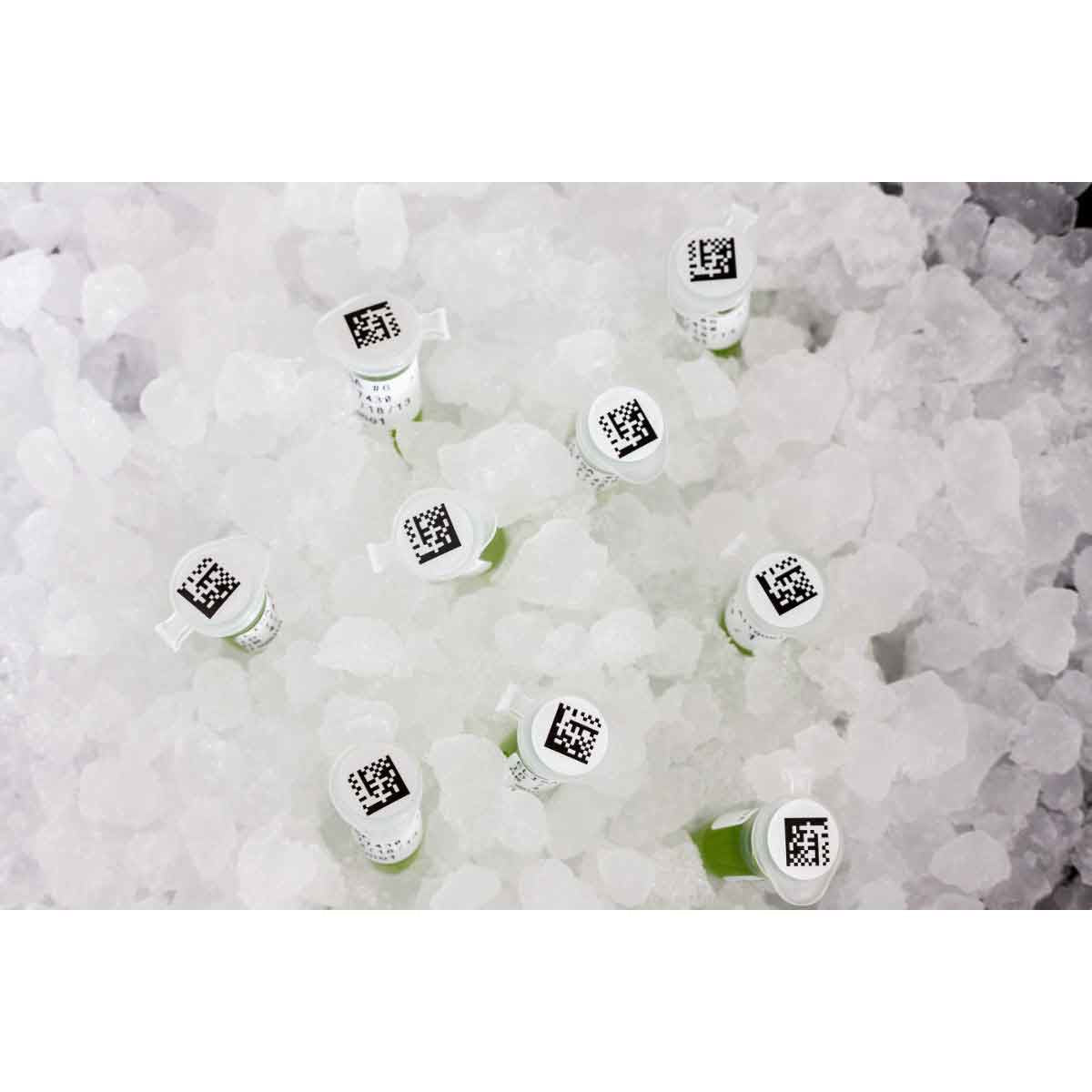 Brady FreezerBondz – Endlos-Etiketten Ø 9,5 mm – Polyester – Thermotransfer – 1500 Etiketten/Rolle