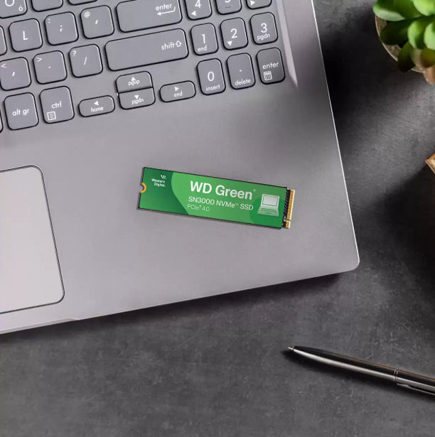 Western Digital Green SN3000 1 TB – für M.2 2280, NVMe, PCIe 4.0