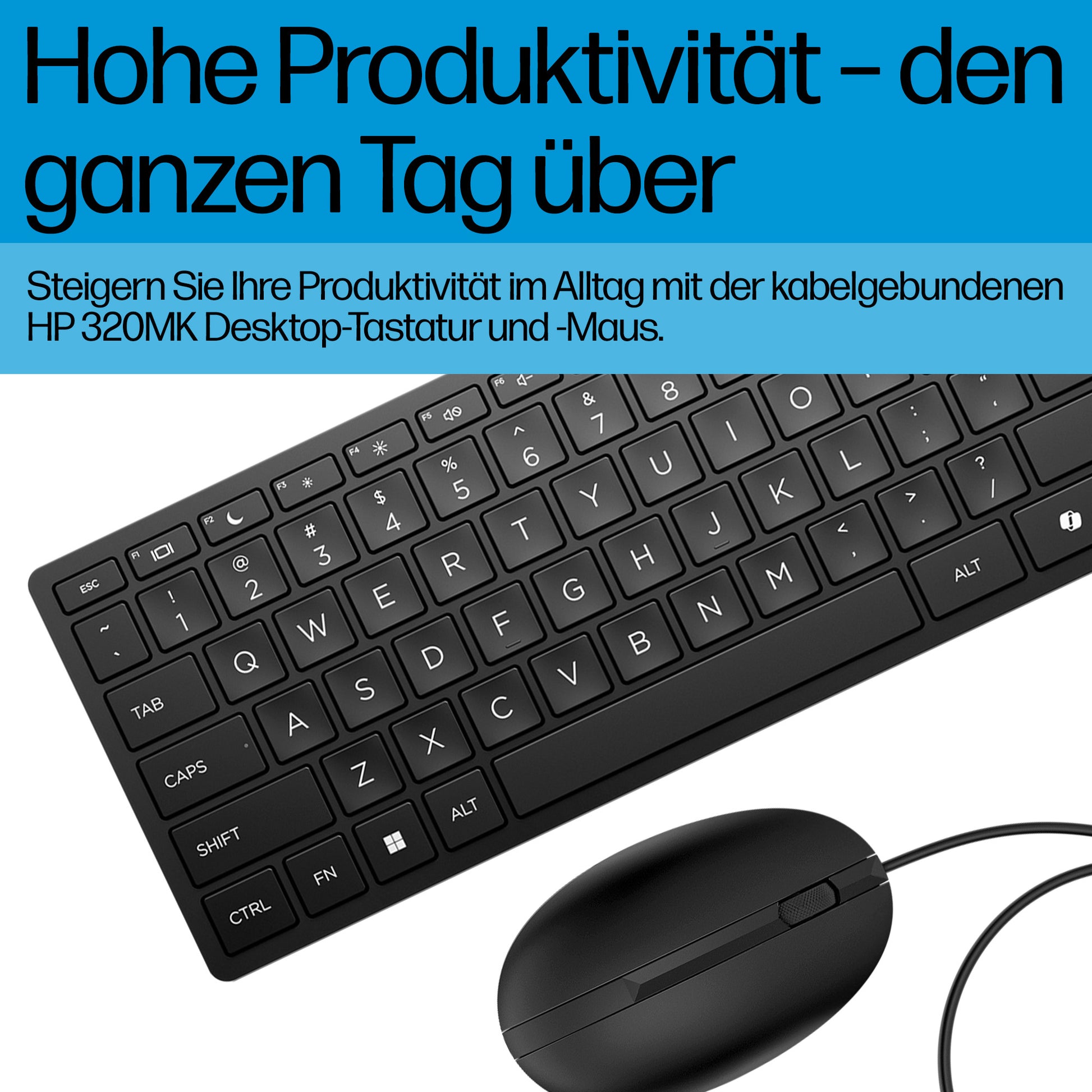 HP Wired Desktop 320MK – Tastatur- und Maus-Set – USB (kabelgebunden), Full-Size, Membran, 1000 DPI, Schwarz
