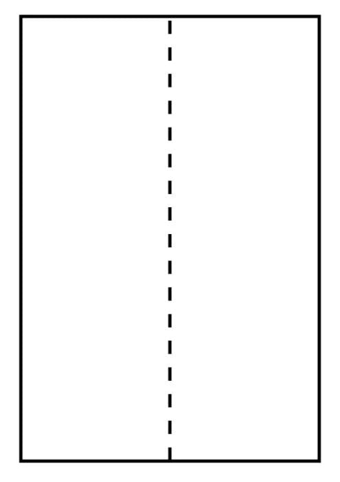 Capture Versandetiketten, 105 mm × 297 mm, für Laser- und Tintenstrahldrucker, 500 Bogen
