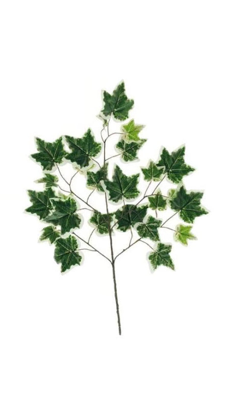 Dekomat AG Efeuzweig – 70 cm – Kunstseide & Kunststoff, Mehrfarbig