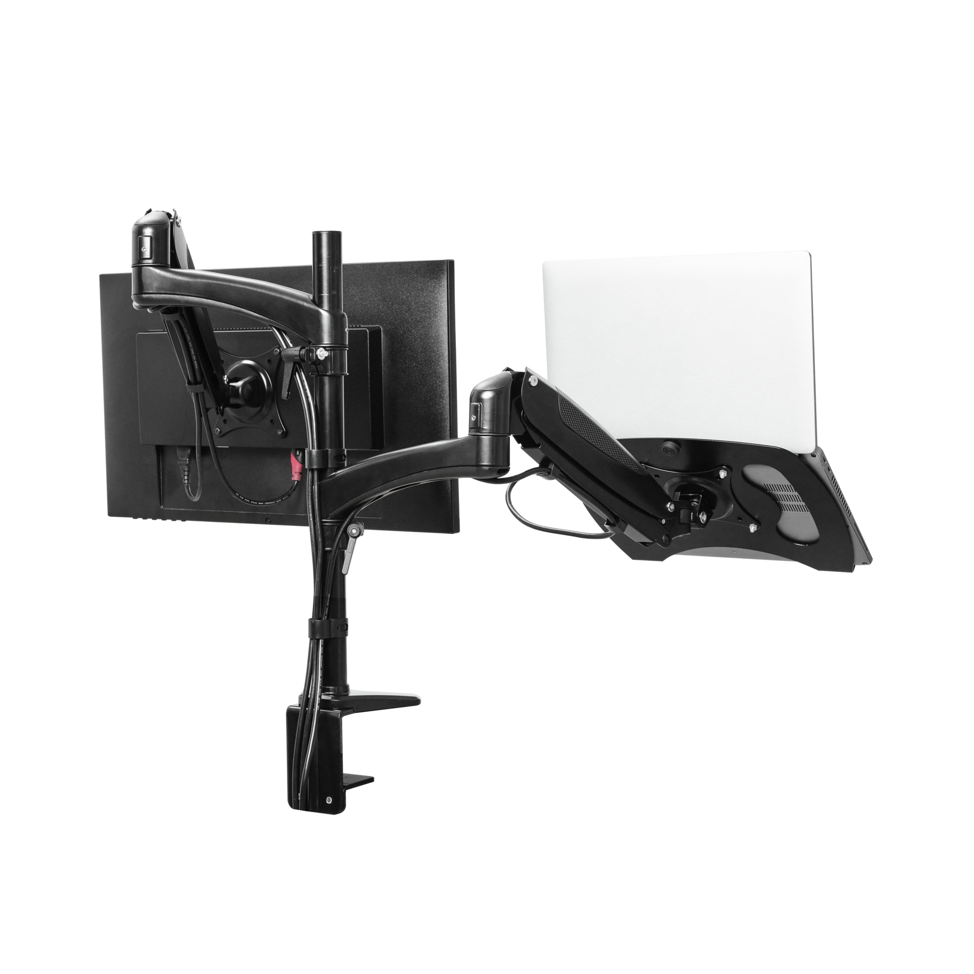 Trust Monta – Monitorarm, Dual, Tischklemme, bis 32", VESA 75 × 75/100 × 100 mm, 16 kg, höhenverstellbar