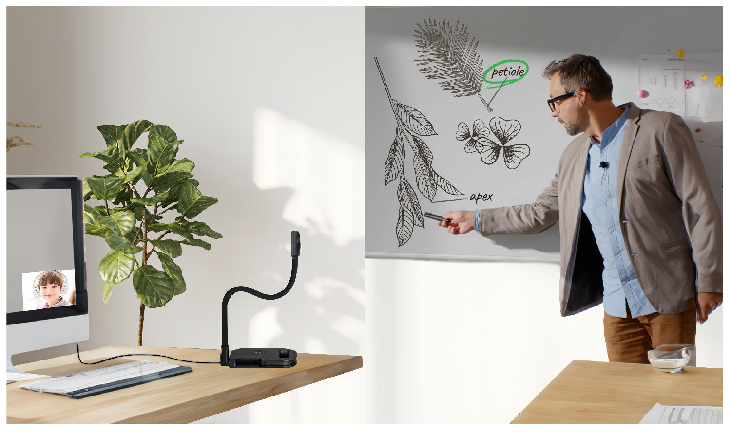 AVer U50PLUS – Visualizer/Dokumentenkamera, 4K60, 16× optischer Zoom, 420×315 mm, USB, schwarz