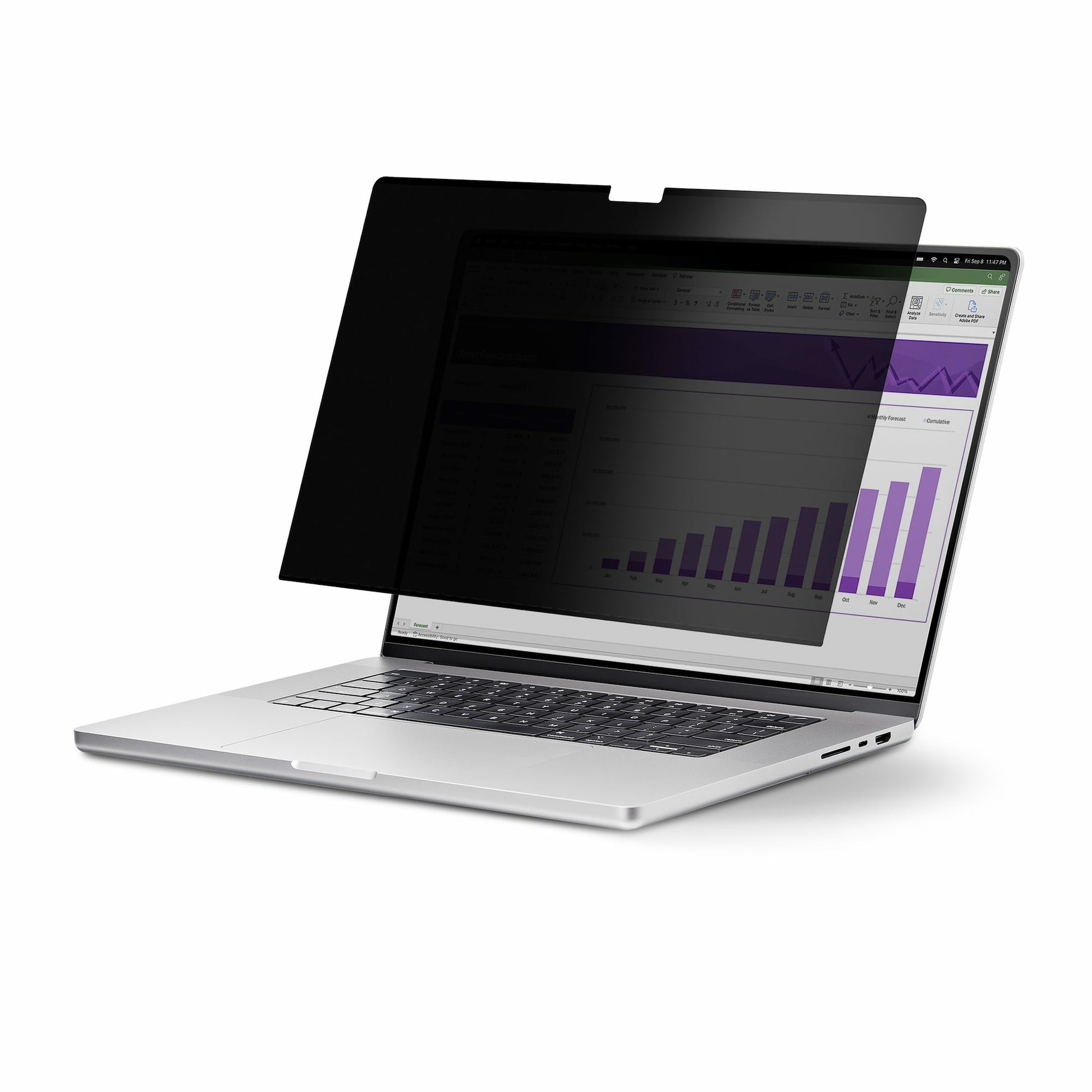 StarTech.com Displayschutz für 14,1" Laptop