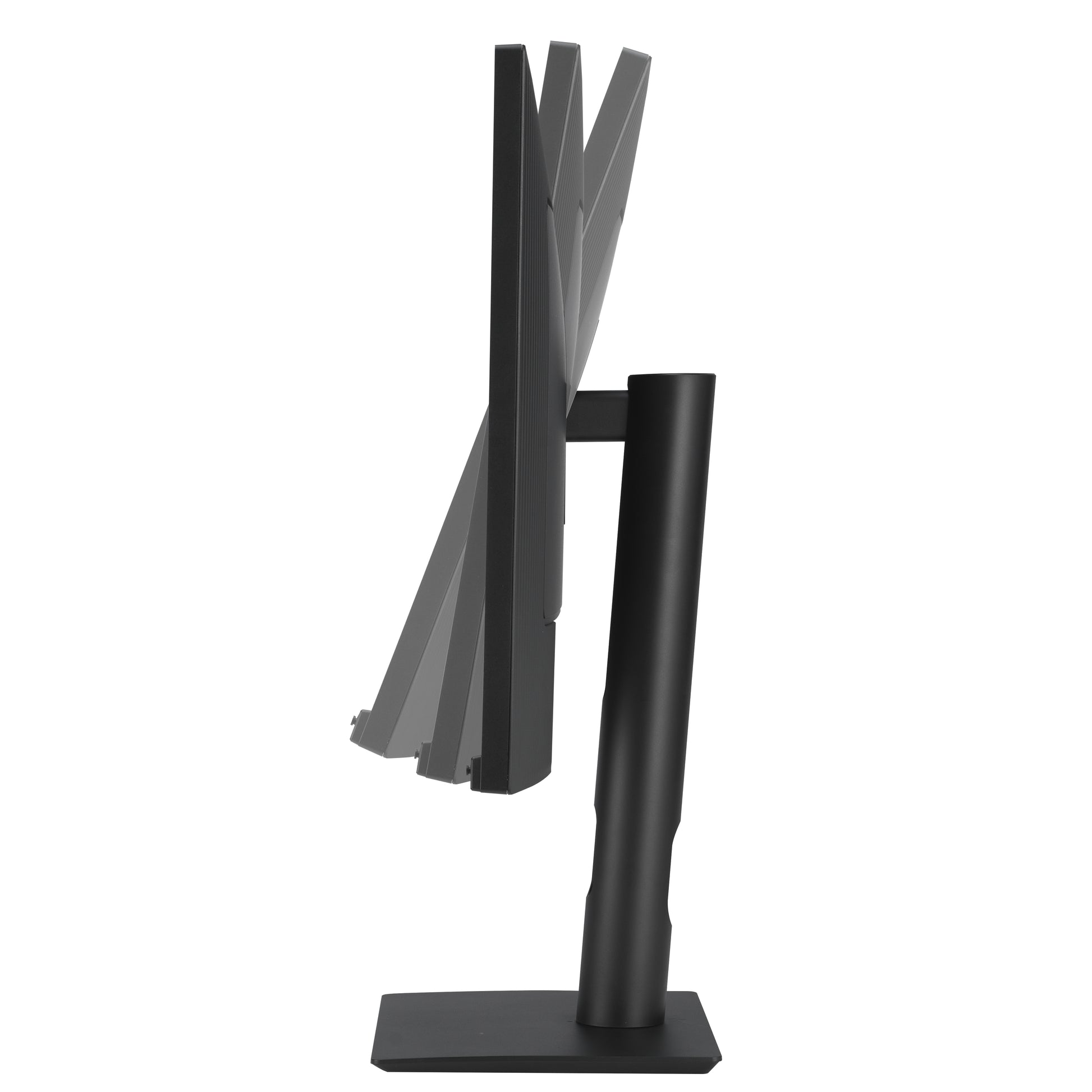 ASUS HA2441A – Monitor, 23,8", 2560 × 1440 (WQHD), LCD, Schwarz