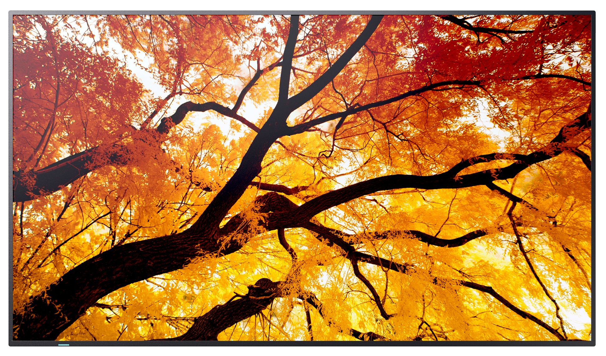 Sharp MultiSync M552 – 55" Signage-Display – 4K UHD – LCD (IPS) – Touch – 60 Hz – 550 cd/m² – 24/7