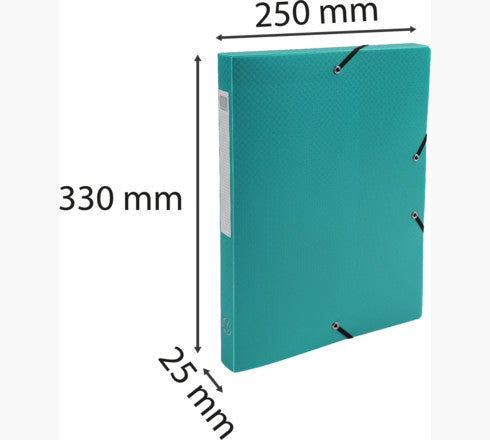 Exacompta Archivschachtel – für A4, B 250 × H 330 mm, grün, PP, 1 Stück