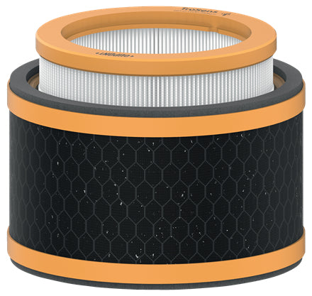 Leitz 3-in-1 Kombifilter – für TruSens Z-1000, Gerüche & VOCs, Schwarz
