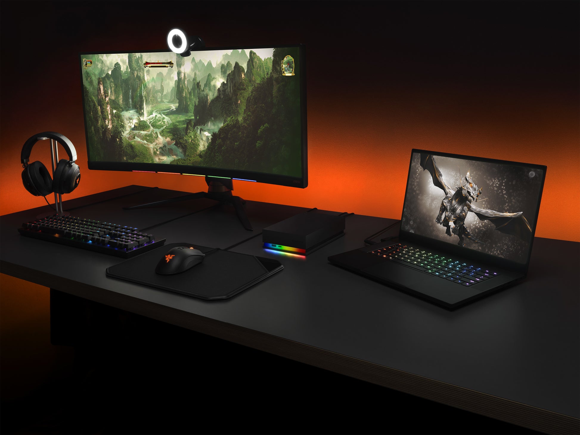 Seagate FireCuda Gaming Hub Speichergerät – 16 TB, USB 3.2 Gen 1, 3,5"