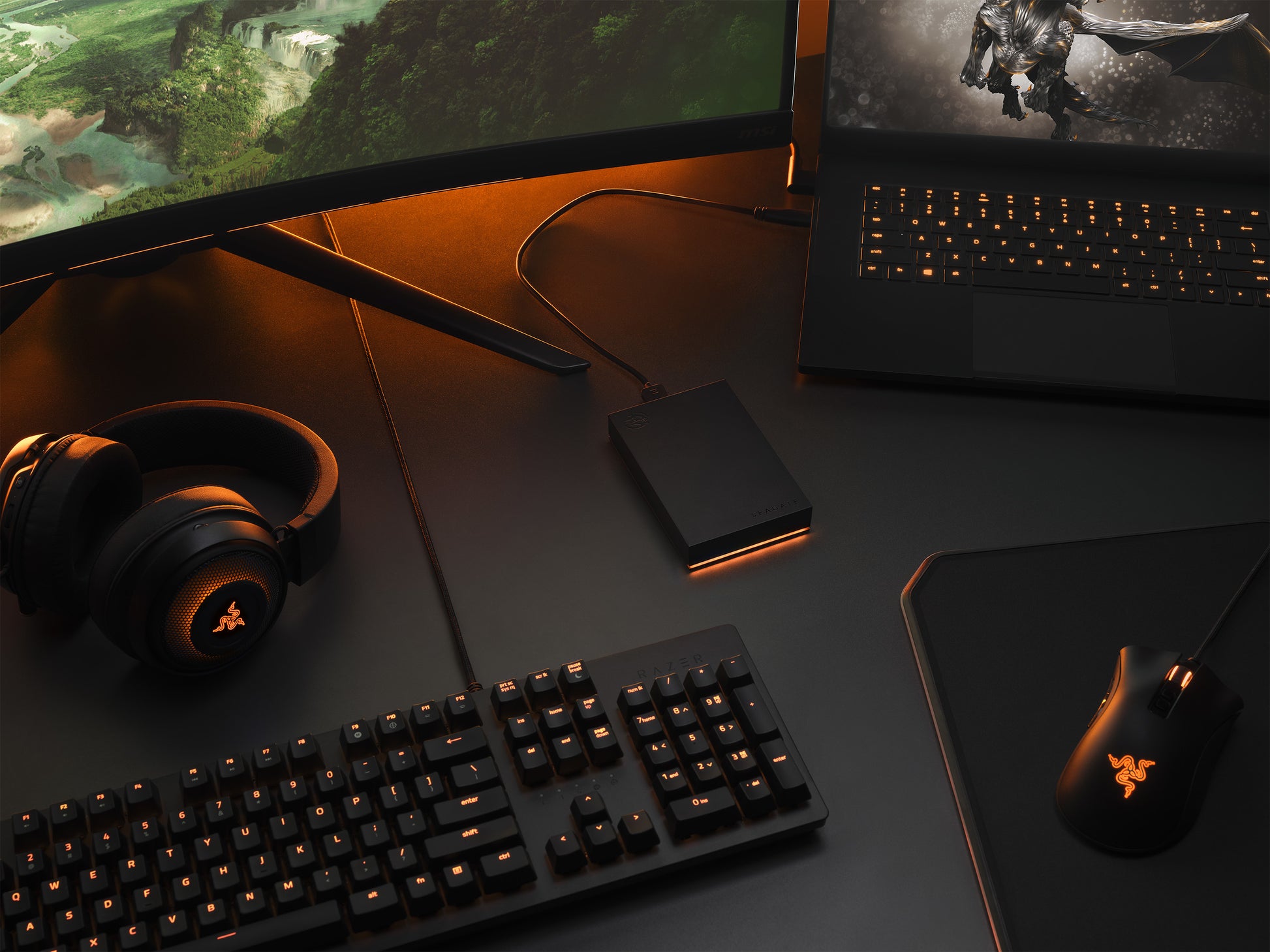 Seagate FireCuda Gaming Drive – 5 TB, Schwarz