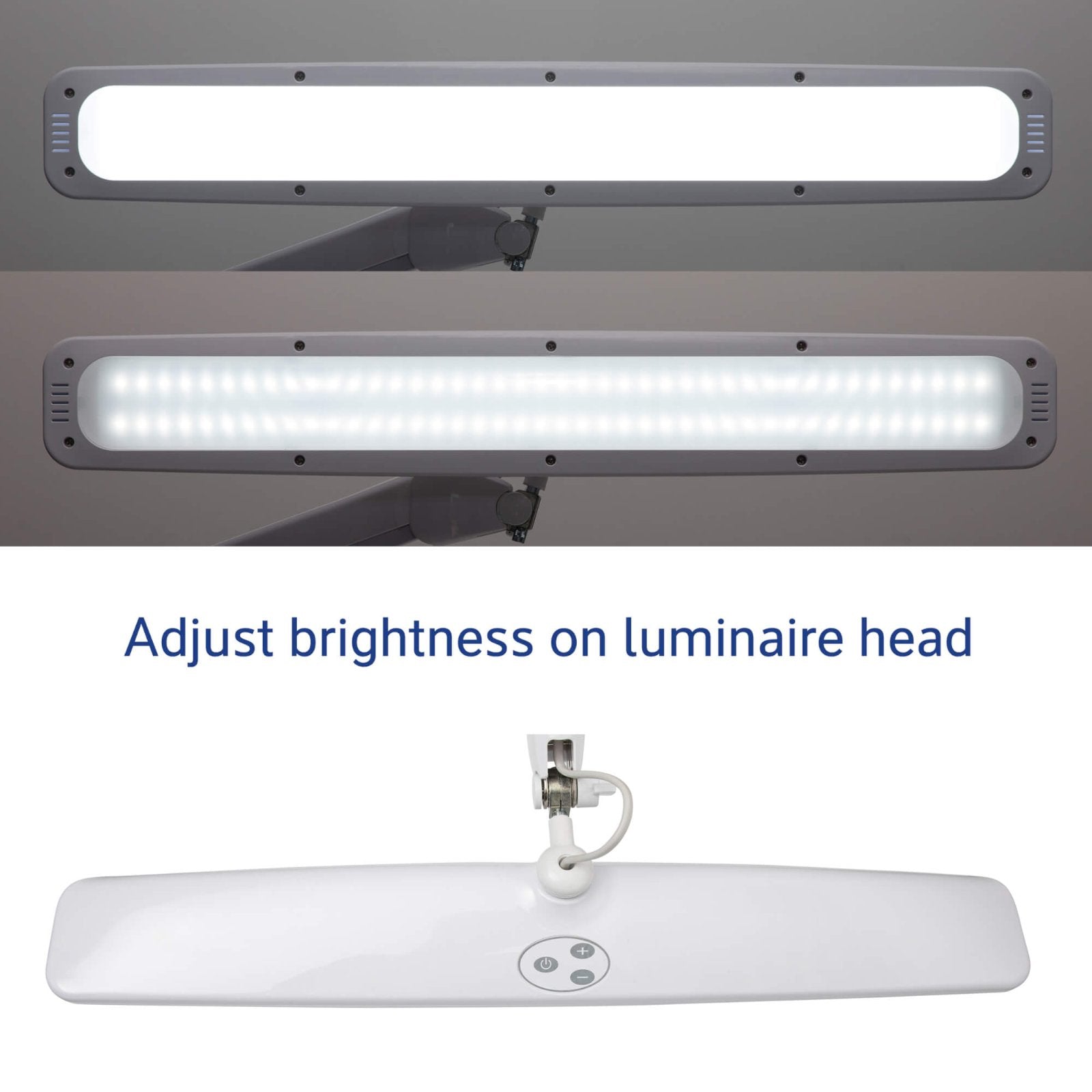 MAULexplore Tischleuchte – 6500 K Tageslichtweiss, Dimmbar, 2600 lm, Weiss