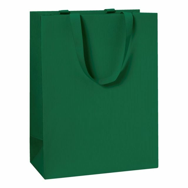 Stewo Geschenktasche Grün – 230 × 300 × 130 mm – FSC MIX 70% – 1 Stk.