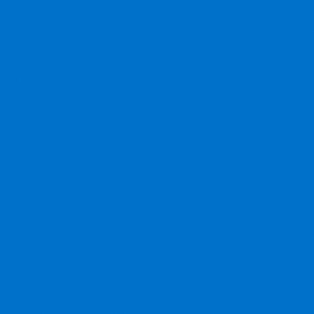 Cricut Matte Vinylfolie, selbstklebend – Blau – 33 × 366 cm – für CRICUT Schneideplotter Maker 3 und Explore 3
