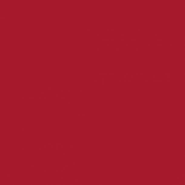 Cricut Vinylfolie – permanent – rot – 330 × 3660 mm