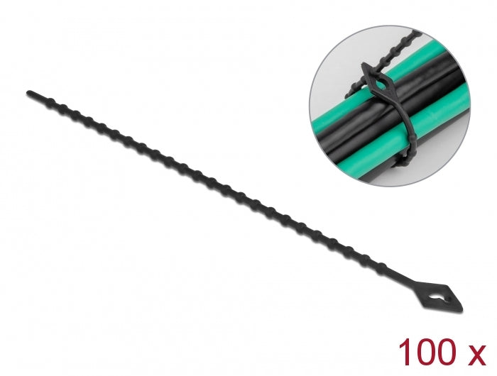 DeLOCK Kabelbinder, 2,4×200 mm, 100er-Pack, wiederverwendbar – schwarz