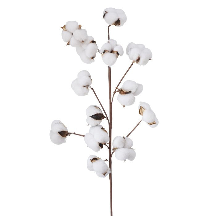Boltze Trockenblumen – Mehrfarbig – 68 cm – 1er-Pack