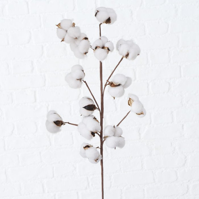 Boltze Trockenblumen – Mehrfarbig – 68 cm – 1er-Pack