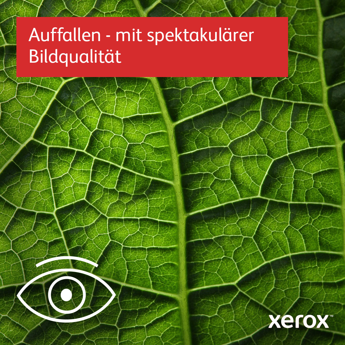 Xerox VersaLink C600 – Farbe, A4, WLAN, LAN, USB, 53 ppm, AirPrint