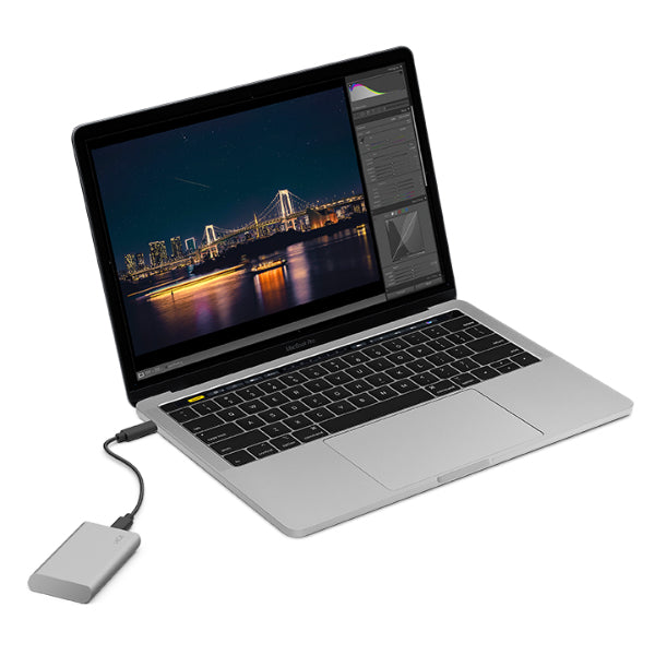 LaCie Portable SSD V2 – 1 TB, USB 3.2 Gen 2 (USB-C), für iPad (ab iPadOS 14)