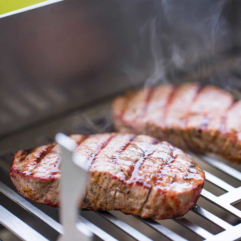 Fennek Camping-Grill DFW0010.66.001 – Holzkohle, tragbar, 27×18,3 cm Grillfläche – silber