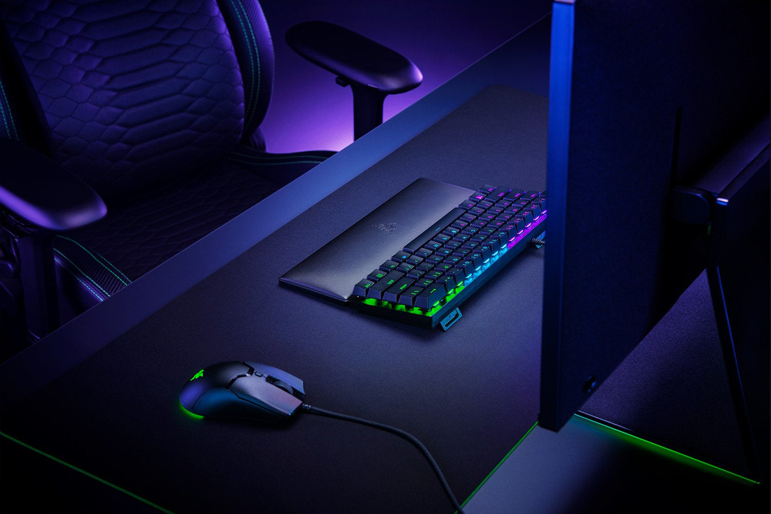 Razer Ergonomische Handgelenkauflage Mini – Handgelenkstütze für Tastatur – Memory-Schaum – Schwarz – 356 × 89,8 mm