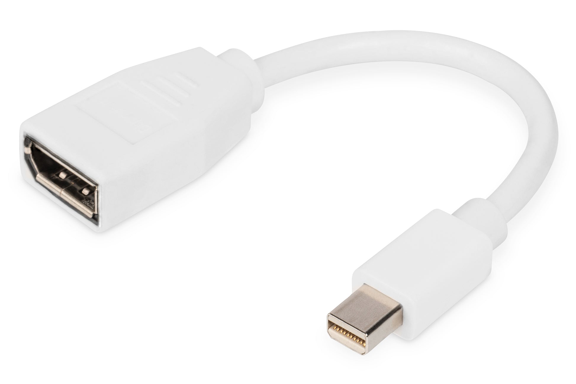 Digitus Mini DisplayPort (Stecker) auf DVI (Buchse) Adapter, DP 1.1, 15 cm, 24+5 Pins