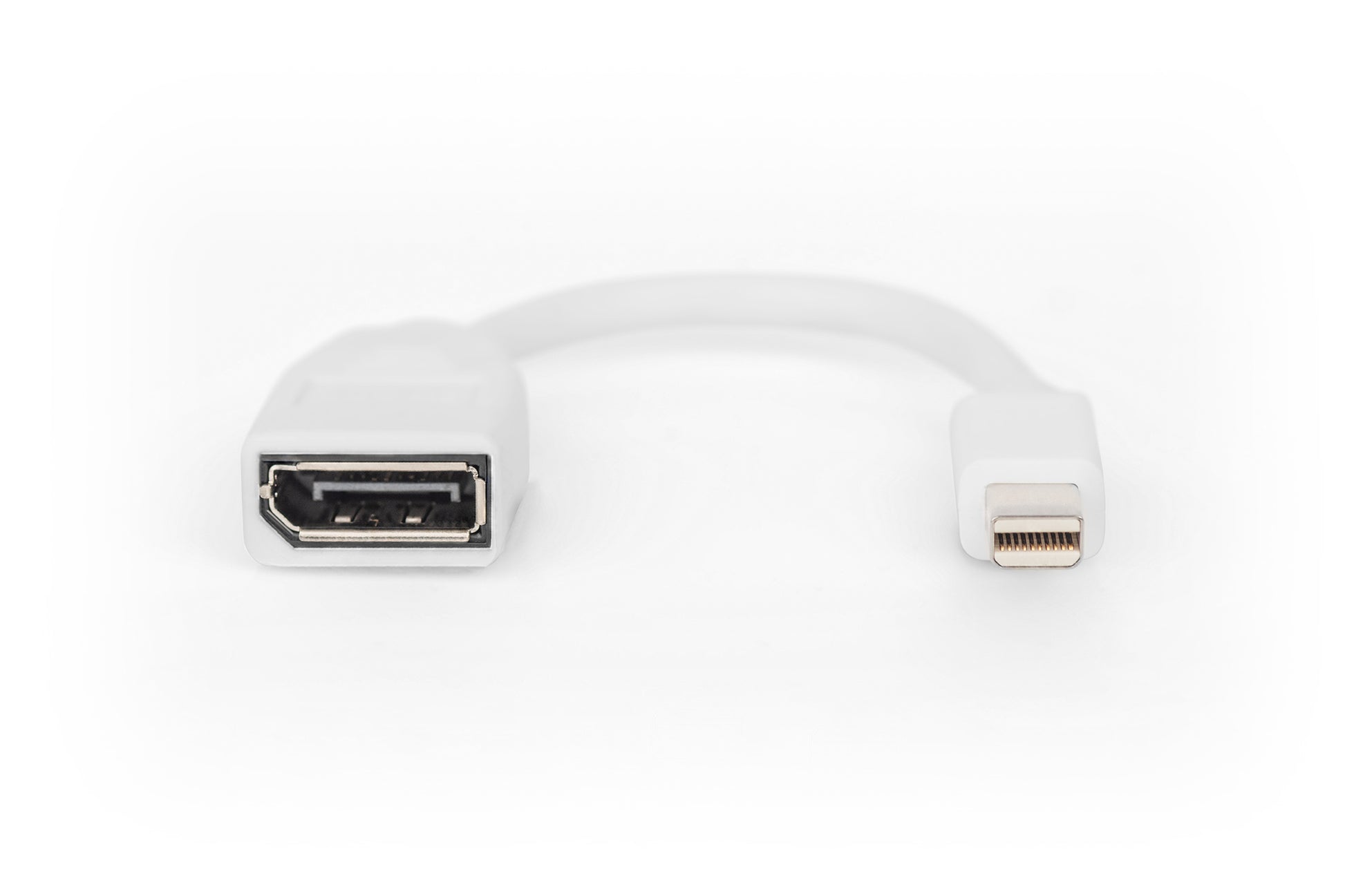 Digitus Mini DisplayPort (Stecker) auf DVI (Buchse) Adapter, DP 1.1, 15 cm, 24+5 Pins