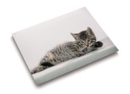 Laufer Läufer – Schreibtischunterlage – 530 × 400 mm, Kunststoff, Motiv 'Katze', mehrfarbig