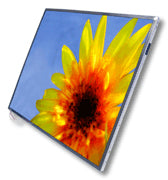 DELL LCD-Panel 14,1" – WXGA – 43789