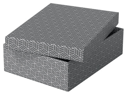 Esselte Archivschachtel A4 – mit Deckel, 265 × 100 × 360 mm, grau, Karton, 3er Pack