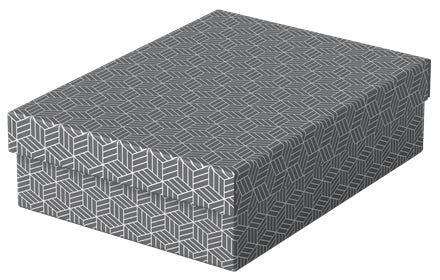 Esselte Archivschachtel A4 – mit Deckel, 265 × 100 × 360 mm, grau, Karton, 3er Pack