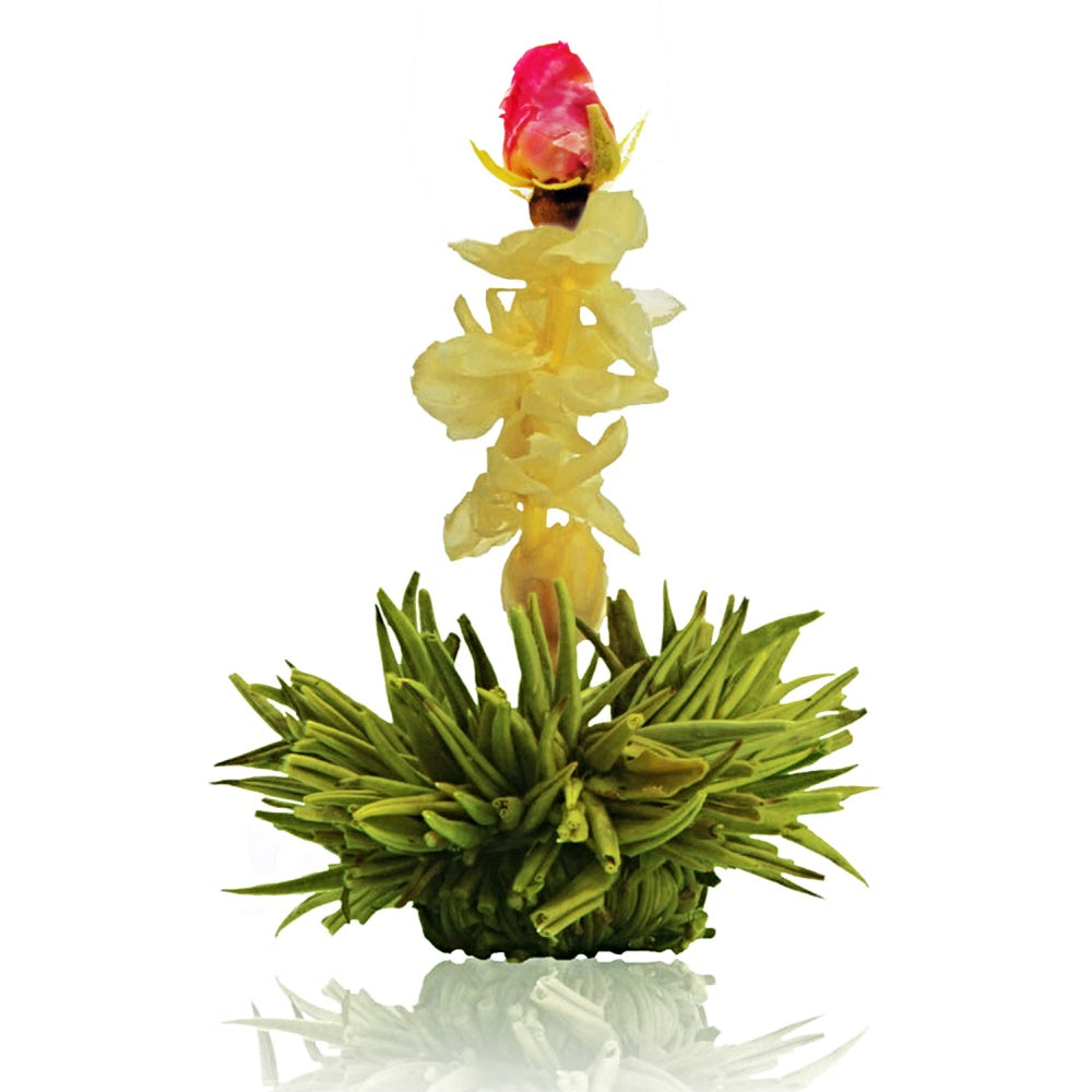 Creano Erblühtee Grüntee – 12 Teeblumen – Holzbox